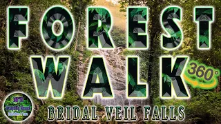 🇨🇦🏔(VR 360° Virtual Forest Walk |Virtual Nature Walk 360°) Bridal Veil Falls, Rosedale, Canada