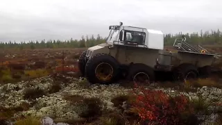 Русский вездеход Беркут-8, на болоте.