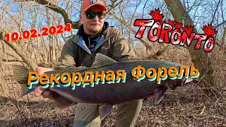 Рекордная форель | Попали на раздачу  Steelhead в Торонто | Рыбалка в Канаде |