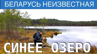 Синее озеро, Светлогорский район. Фильм 7 - Беларусь неизвестная