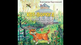 Константин Паустовский – Кот-ворюга. [Аудиокнига]