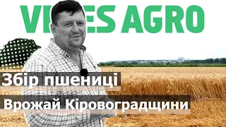 Збір пшениці в пп "Дніпро" // Verti-till "Зевс" + 'Magia"