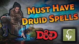 Must-Have Druid Spells for Dungeons and Dragons 5e