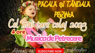 Muzica de Petrecere 🔊Moldoveneasca Super Colaj Video 2️⃣0️⃣2️⃣3️⃣📞+37368173807