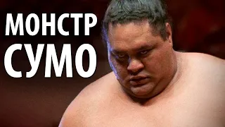 Вот Это МОЩНЫЙ СУМОИСТ. Сильнейший борец сумо - Акэбоно Таро