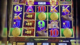 High Limit Buffalo Link $11K bonus