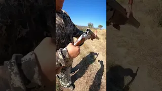 Superpuesta Cal 12. #shortvideo #cacería #viral #cazadores #conservación #rifle #shotgun #gun #caza