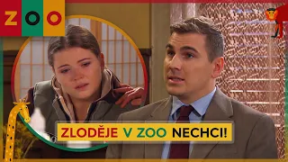 ZOO (176) - Zloděje v zoo nechci  (ukázka z dílu)