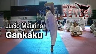 Lucio Maurino teaching Kata Gankaku - Karate All Stars 2013