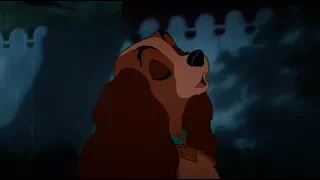 Burn - Lady and the Tramp (Hamilton)