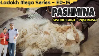 The Legend of Pashmina Shawl | Sindhu Ghat | Leh Ladakh Road trip | Ep-15