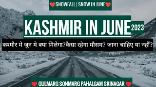 kashmir in june | snowfall / snow in Kashmir | Hotel | Budget | Gulmarg Kashmir