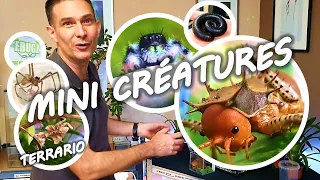 TUTO INSECTES : MANTE, PHIDIPPUS, ARAIGNÉE, IULE, CRIQUETS...