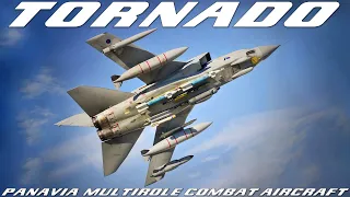 Tornado, The Mach 2.2  Combat Aircraft by Panavia