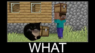 Maxwell the Cat in Minecraft wait what meme part 11