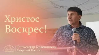 Христос Воскрес! | Старший пастор Олександр Краснощока | 05.05.24