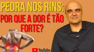 Pedra nos rins - cálculo renal: a dor mais forte que existe! Será?