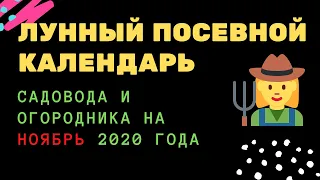 Лунный посевной календарь садовода и огородника на ноябрь 2020 года