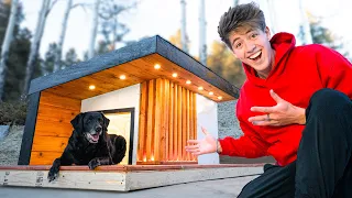My dog's house was destroyed…so I built her DREAM house!