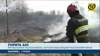 У Білорусії палають тисячі гектарів лісу