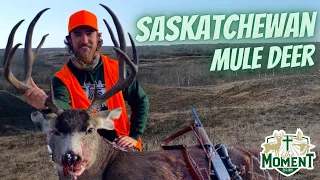 Saskatchewan Draw Mule Deer | Hunting During The Rut | First Mule Deer!