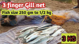 3 finger Gill net fishing//Fish size 250 gm to 1/2 kg#How to make gill net in simple process