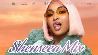 Shenseea Mix 2023 Clean /  Shenseea Mixtape May 2023 Clean (Calum Beam intl)