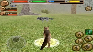 Furious German Shepherd VS Angry Wolf Boss Fight, Ultimate Dog Simulator