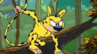 uzun kuyruk marsupilami istilacilar