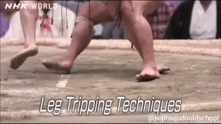 Throwing techniques of Sumo