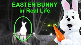 5 Easter Bunny Caught on Camera & Exist in Real Life