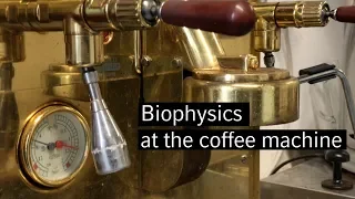 Biophysics at the coffee machine