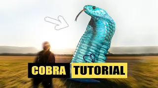 Paragliding cobra take off tips Paragliding Tutorial