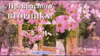 Доброе утро! Прекрасного вторника