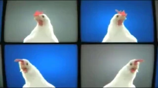 Chooki The Techno Chicken