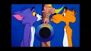 Tom And Jerry English Episodes - Funny Cartoon - Cat and Dupli-cat