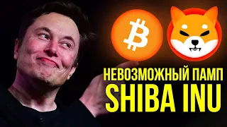 ГЛАВНЫЙ СЕКРЕТ SHIBA INU, КАК ОНА СТАНЕТ ТОП-5 КРИПТОВАЛЮТОЙ | Биткоин прогноз $80 000 в ноябре