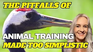 The Pitfalls of Making Animal Training Too Simplistic