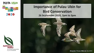 Ubin Day 2020 Talks | Importance Of Pulau Ubin For Bird Conservation