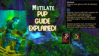 Season Of Discovery- assassination Rogue PvP Talent and Rune Guide explained easy!! BIS talents