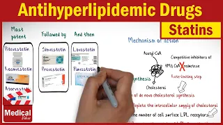 Pharmacology [CVS] 29- Antihyperlipidemic Drugs ( 1- HMG CoA Reductase inhibitors  [ Statins ] )