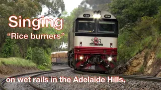 SCT combined steel and intermodal trains at Mt' Lofty,