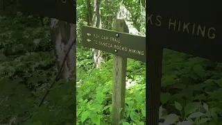 Hiking @Beautiful place Of Seneca Rocks,West Virginia USA