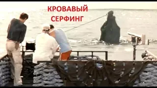 УЖАСЫ !!! Кровавый Серфинг