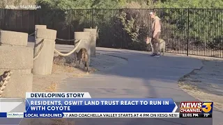 Resident, Oswit Land Trust react to run in with coyote at Prescott Preserve