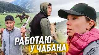 ЖИВУ С ЧАБАНОМ. Дою корову, говорю на кыргызском. Кыргызстан! #vlog