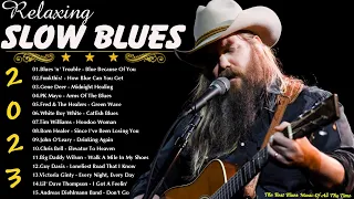 Beautiful Relaxing With Blues Music - Best Slow Blues Songs Ever - The Best Blues Songs of All Time