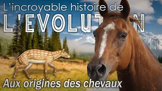 The origins of the horse (Equidae) - Evolution / Paleontology - Simplex Paleo