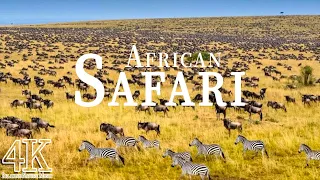 African Safari in 4k ULTRA HD - Safari Wildlife Paradise | Scenic Relaxation Film with Calming Music