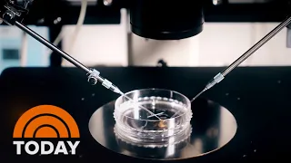 How Alabama’s embryo ruling impacts families using IVF